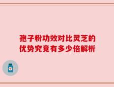 孢子粉功效对比灵芝的优势究竟有多少倍解析