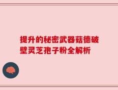 提升的秘密武器菇德破壁灵芝孢子粉全解析