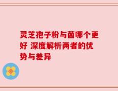 灵芝孢子粉与菌哪个更好 深度解析两者的优势与差异