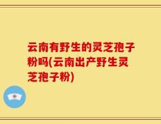 云南有野生的灵芝孢子粉吗(云南出产野生灵芝孢子粉)