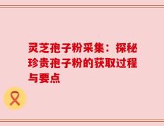 灵芝孢子粉采集：探秘珍贵孢子粉的获取过程与要点
