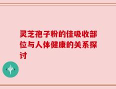 灵芝孢子粉的佳吸收部位与人体健康的关系探讨