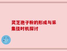 灵芝孢子粉的形成与采集佳时机探讨