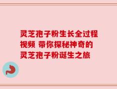 灵芝孢子粉生长全过程视频 带你探秘神奇的灵芝孢子粉诞生之旅