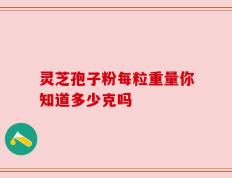 灵芝孢子粉每粒重量你知道多少克吗