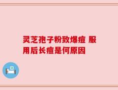 灵芝孢子粉致爆痘 服用后长痘是何原因