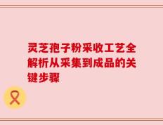 灵芝孢子粉采收工艺全解析从采集到成品的关键步骤