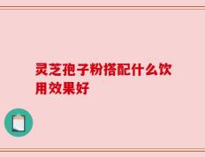 灵芝孢子粉搭配什么饮用效果好