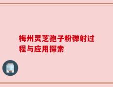 梅州灵芝孢子粉弹射过程与应用探索