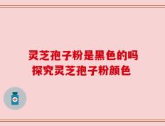 灵芝孢子粉是黑色的吗 探究灵芝孢子粉颜色