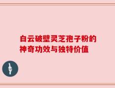 白云破壁灵芝孢子粉的神奇功效与独特价值