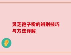 灵芝孢子粉的辨别技巧与方法详解