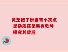 灵芝孢子粉里有小灰点 是杂质还是另有乾坤 探究其背后