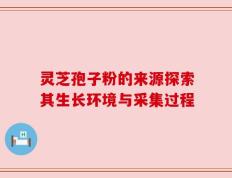 灵芝孢子粉的来源探索其生长环境与采集过程