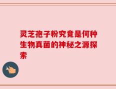 灵芝孢子粉究竟是何种生物真菌的神秘之源探索