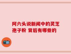 阿六头说新闻中的灵芝孢子粉 背后有哪些的