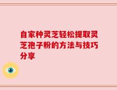 自家种灵芝轻松提取灵芝孢子粉的方法与技巧分享