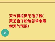 天气预报灵芝孢子粉(灵芝孢子粉给您带来最新天气预报)