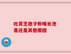 吃灵芝孢子粉嘴长泡 是还是其他原因