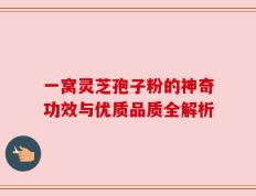一窝灵芝孢子粉的神奇功效与优质品质全解析