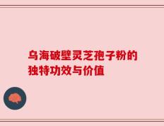 乌海破壁灵芝孢子粉的独特功效与价值