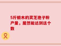 5斤椴木的灵芝孢子粉产量，居然能达到这个数