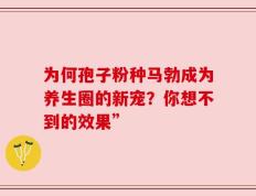为何孢子粉种马勃成为养生圈的新宠？你想不到的效果”