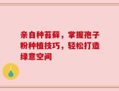 亲自种苔藓，掌握孢子粉种植技巧，轻松打造绿意空间