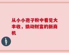 从小小孢子粉中看见大丰收，撬动财富的新商机