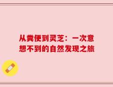 从粪便到灵芝：一次意想不到的自然发现之旅