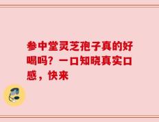 参中堂灵芝孢子真的好喝吗？一口知晓真实口感，快来