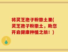将灵芝孢子粉撒土里(灵芝孢子粉撒土，助您开启健康种植之旅！)