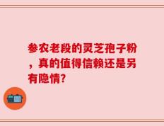 参农老段的灵芝孢子粉，真的值得信赖还是另有隐情？