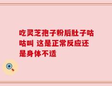 吃灵芝孢子粉后肚子咕咕叫 这是正常反应还是身体不适