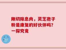 刚切除息肉，灵芝孢子粉是康复的好伙伴吗？一探究竟