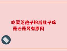 吃灵芝孢子粉后肚子痒 是还是另有原因