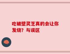 吃破壁灵芝真的会让你发烧？与误区