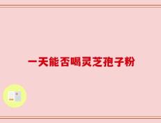 一天能否喝灵芝孢子粉