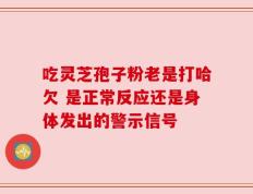 吃灵芝孢子粉老是打哈欠 是正常反应还是身体发出的警示信号
