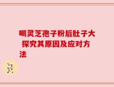 喝灵芝孢子粉后肚子大 探究其原因及应对方法