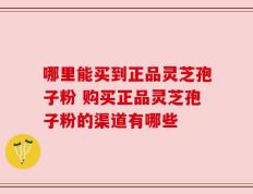 哪里能买到正品灵芝孢子粉 购买正品灵芝孢子粉的渠道有哪些