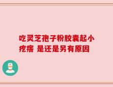 吃灵芝孢子粉胶囊起小疙瘩 是还是另有原因