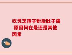 吃灵芝孢子粉后肚子痛 原因何在是还是其他因素