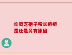 吃灵芝孢子粉长痘痘 是还是另有原因
