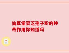 仙草堂灵芝孢子粉的神奇作用你知道吗