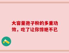 大容量孢子粉的多重功效，吃了让你惊艳不已