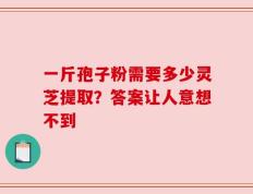一斤孢子粉需要多少灵芝提取？答案让人意想不到