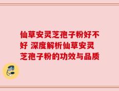 仙草安灵芝孢子粉好不好 深度解析仙草安灵芝孢子粉的功效与品质
