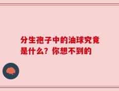 分生孢子中的油球究竟是什么？你想不到的