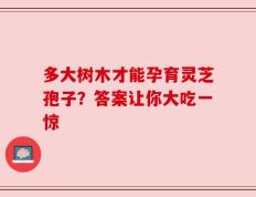 多大树木才能孕育灵芝孢子？答案让你大吃一惊